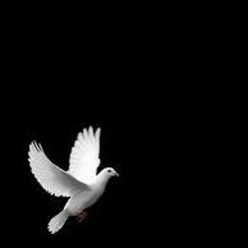 Little Dove (unfinished)