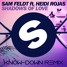 Shadows Of Love ft. Heidi Rojas (Know-Down Remix)
