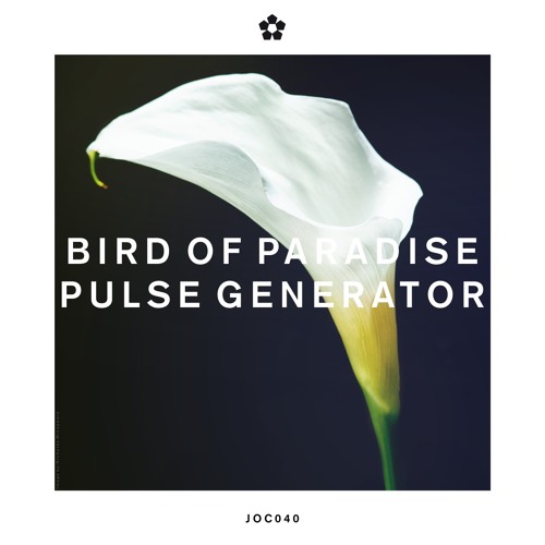 PRÈMIÉRE: Bird Of Paradise - Alone, Again (Join Our Club)