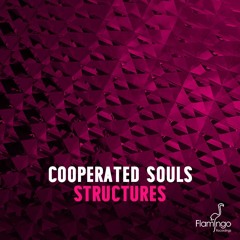 Cooperated Souls - Structures (Preview) [OUT NOW]