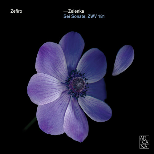 ZELENKA - Sonata No. 5 in F Major, ZWV 181/5: I. Allegro