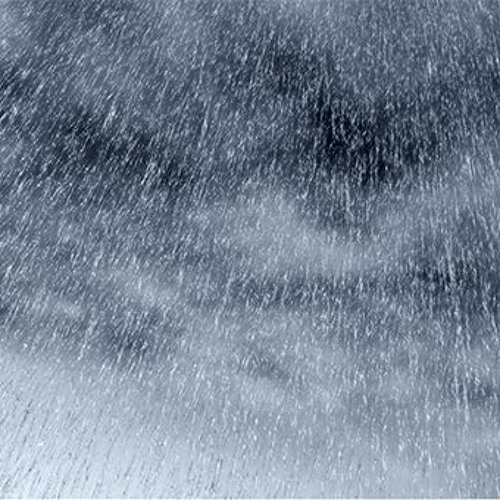 The  Consolation Of Rain by David Bruce