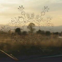 See Rain Of Estrellas