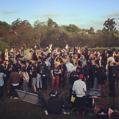 Invisible City X Tako live at a park in Melbourne 2015