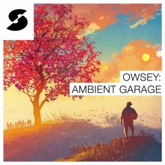 Owsey: Ambient Garage Demo