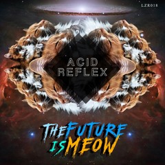 Acid Reflex - The Future Is Now (Preview)