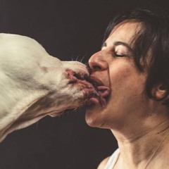 Making Out With Strangers