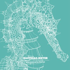 Matthias Meyer - Watergate 20 EP