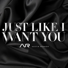 Austin Redmon - "Just Like I Want You" (Prod. By: B Payne)