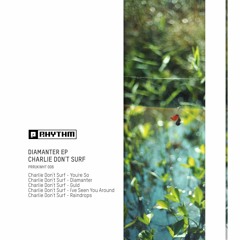 Charlie Don't Surf - Diamanter EP [PRRUKWHT006]
