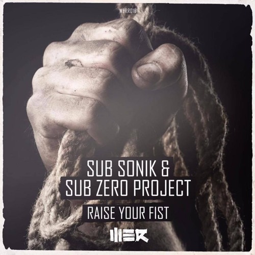 Raise Your Fist (& Sub Sonik)