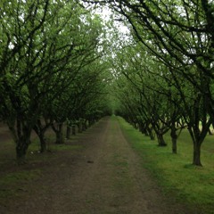 The Biggest Lie (Elliott Smith cover)- Leja Marija