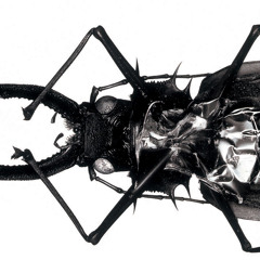 Massive Attack - Teardrop (Waxlife Bootleg Mix)