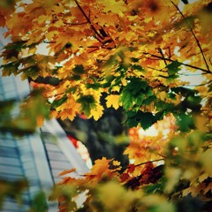 Closure (Prod. Eli Filosov)