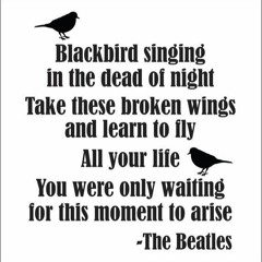 Blackbird