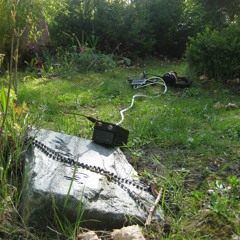 Cemetery, Recordings on grave with Wideband Logarithmic Detector