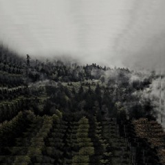 Get em' Tony (One Piece, Chopper OST Trap Remix)