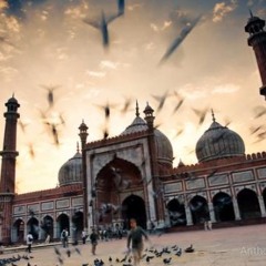 ما وهنّا نحن أحفاد المثنى | كلمات: جهاد الترباني، إنشاد: نايف الشرهان