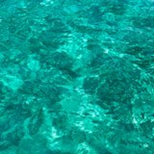 wet (FREE DL)