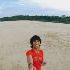 The script - millionaires