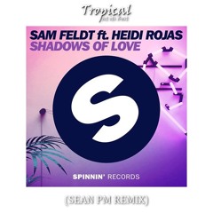 Sam Feldt - Shadows of Love (ft. Heidi Rojas) [Sean PM Remix]