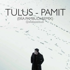Tulus - Pamit (Eka Pambudi Remix)