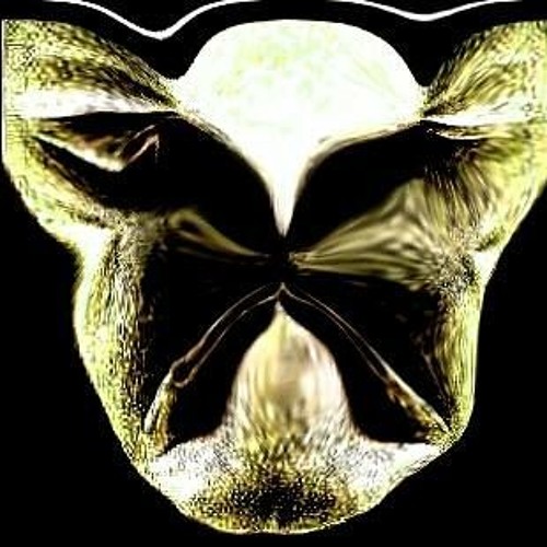 All Styles Collection