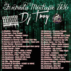 Dancehall Mix 2016 - Dancehall Formula Mixtape (Dj Troy)