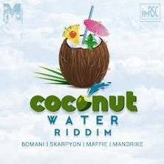DJ UnDaGround Coconut Water Riddim Mix 2016