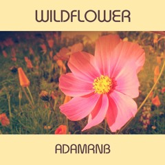 Wildflower - Color Me Badd (Snippet Cover)