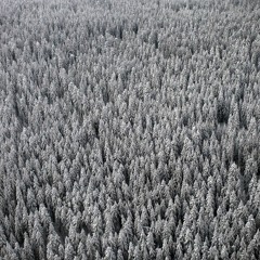 Nothing that is not there and the nothing that is