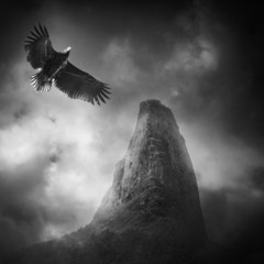 Cra$hK!D  Ohne Geld Kriminell