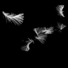 Istanbul Not, Constantinople (Mix)