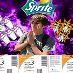 Atlanta Zoo - Gucci Mane Ft. Ludacris(remix)