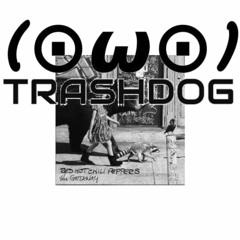 Red Hot Chili Peppers - Dark Necessities [TrashDog Future Bass Remix] Free Download!