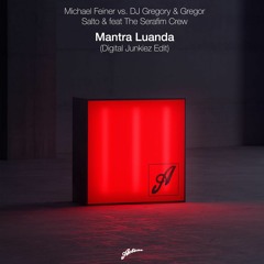 Michael Feiner Vs DJ Gregory & Gregor Salto - Mantra Luanda (Digital Junkiez Edit)