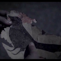 Oh, The Irony - Birds