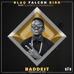 Bfb Last Prod By Bfb By Blaq Falcon Bird