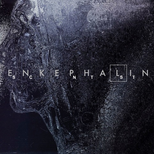 Enkephalin - The Darwinist