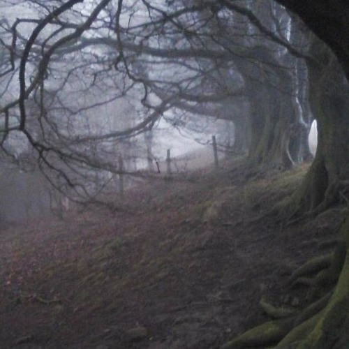 Into The Distance