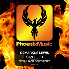 Demarkus Lewis - I Can Feel U (Sebb Junior Remix)