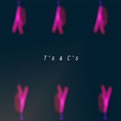 T's & C's