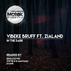 Premiere: Vibeke Bruff Ft. ZiaLand - In The Dark (Einsauszwei Remix)
