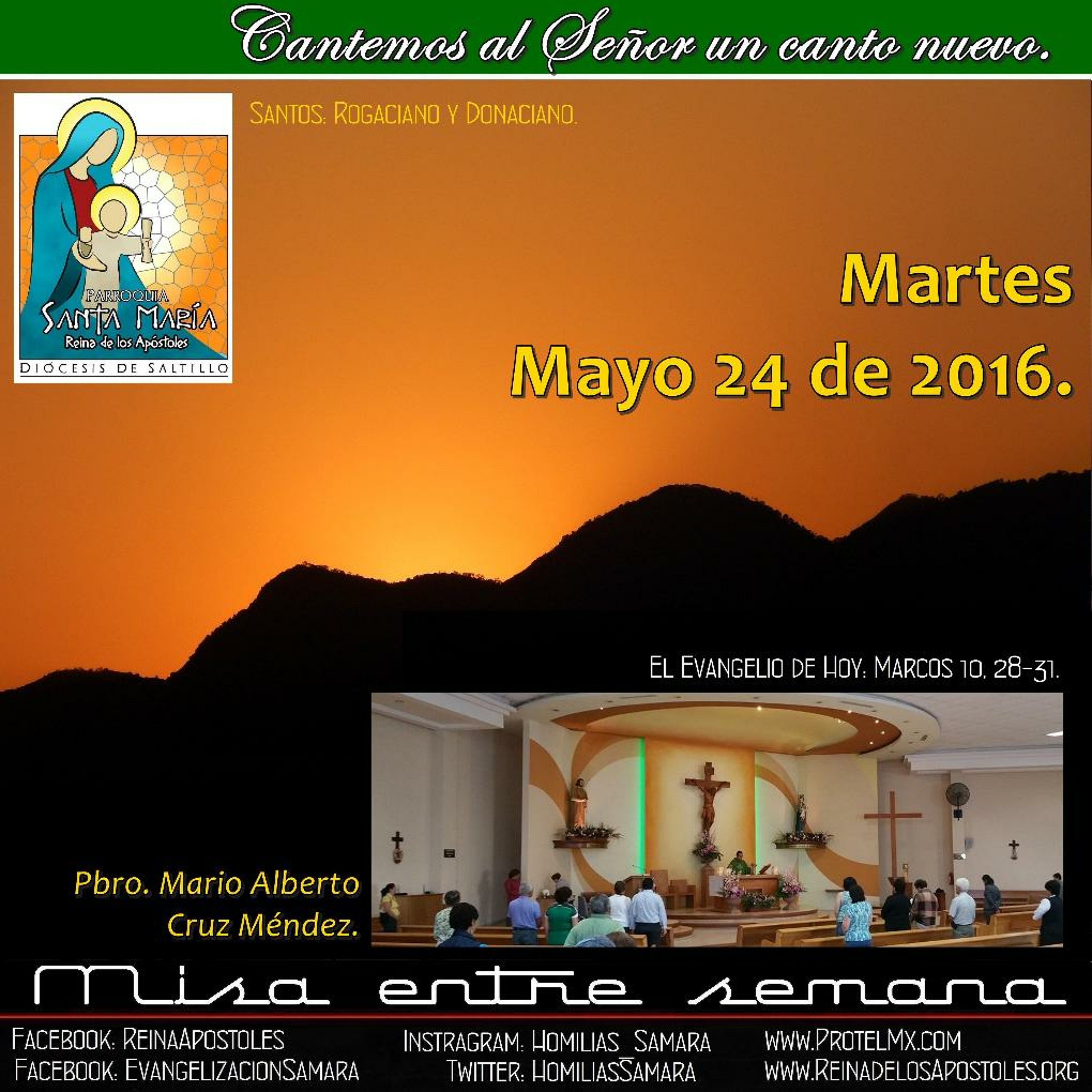 SAMARA_Saltillo #2019