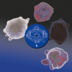 PNKMN14 - Norwell - Death Of A Star