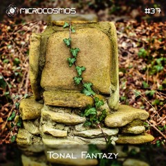 Tonal Fantazy - Microcosmos Chillout & Ambient Podcast 037