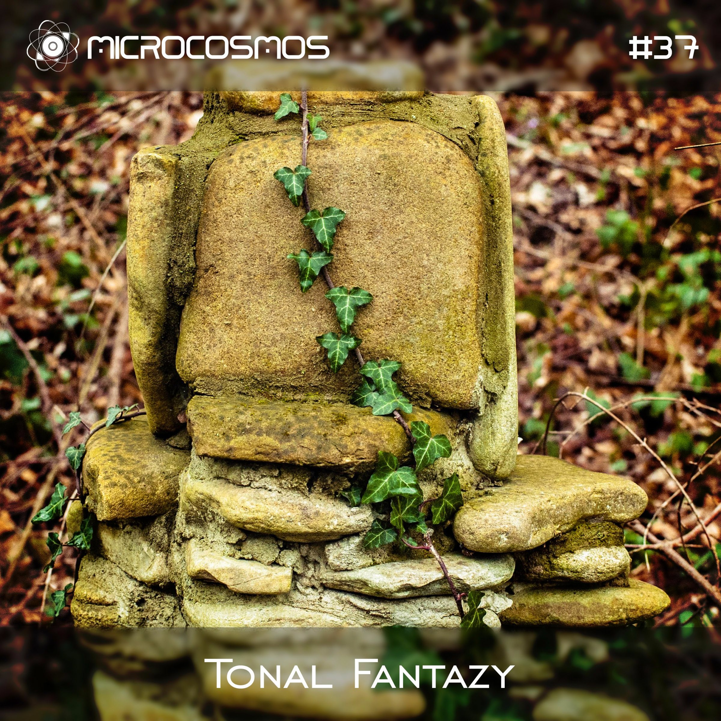 Microcosmos ChillOut and Ambient