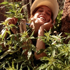 What Will Be will be