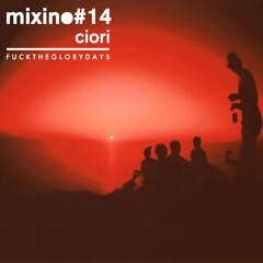 Mixino #14 - Ciori