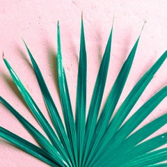 Chubbs & Ded - In The Attic